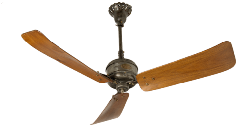 This month's ceiling fans