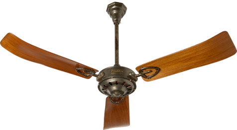 This month's ceiling fans