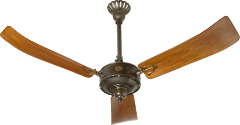 This month's ceiling fans